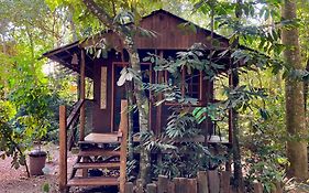 Casinha da Mata
